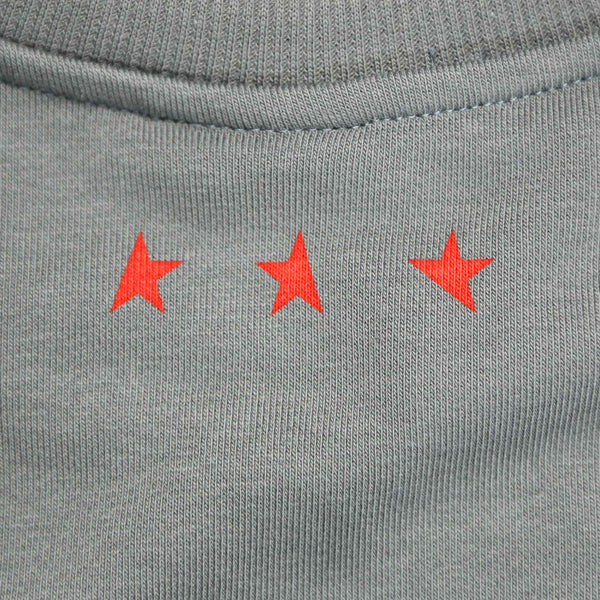 14th women's TITOS crewneck pewter/red large star logo